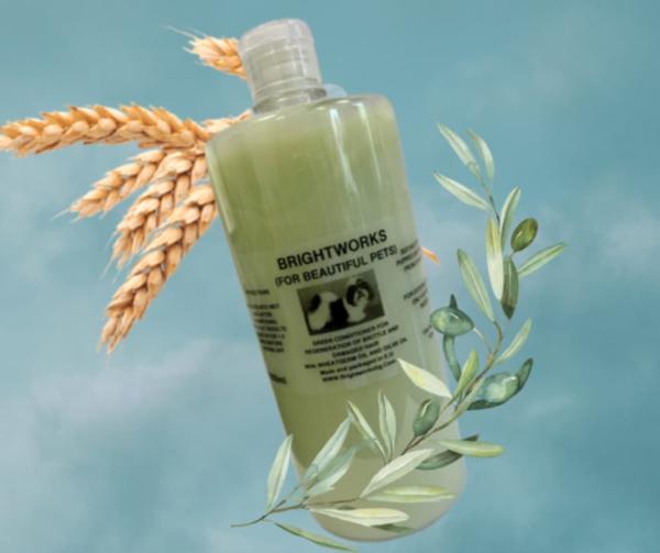 GREEN CONDITIONER – Aufbaupflege